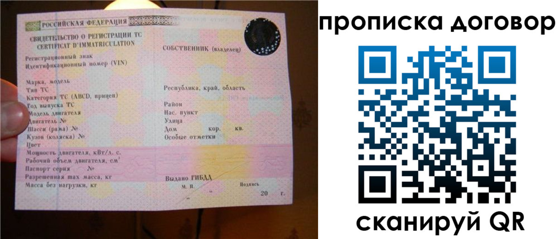временная регистрация поиск в Карталах